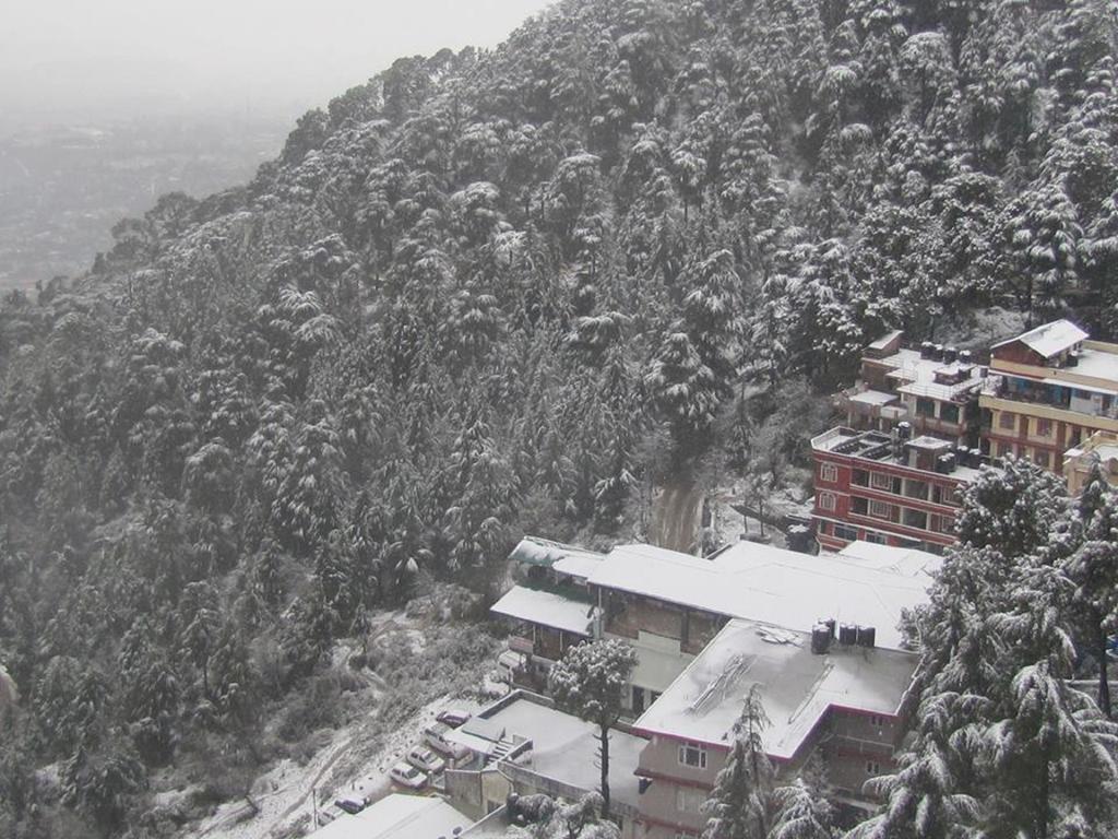 Hotel Deodar Villa Dharamshala Exterior photo