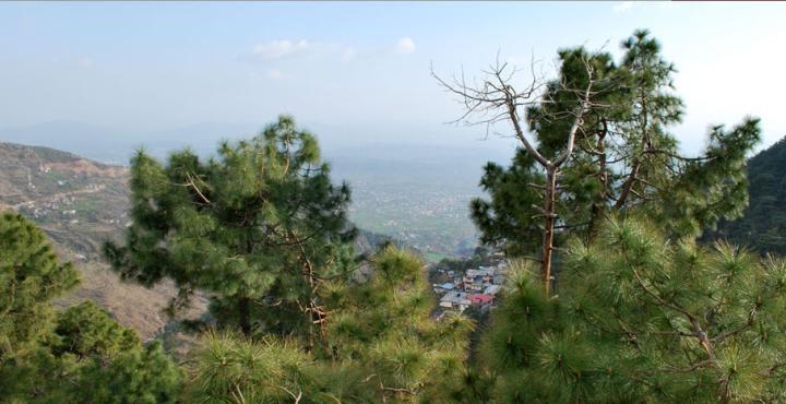 Hotel Deodar Villa Dharamshala Exterior photo